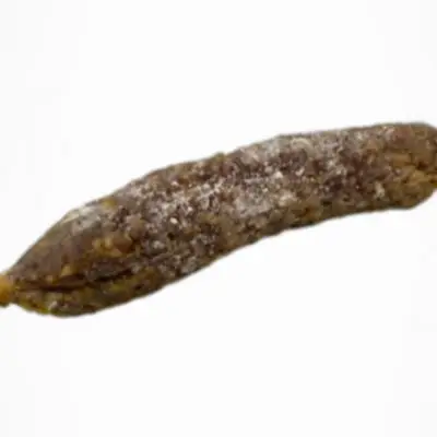 Saucisson de canard d'Artigues