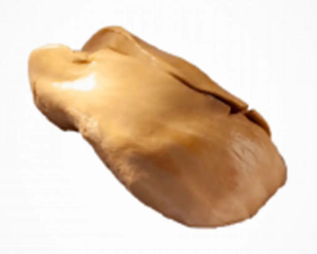 Foie gras cru de canard d'Artigues